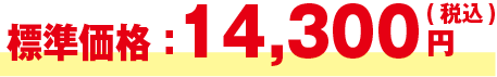 価格14,300円～（税込）