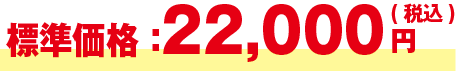 価格22,000円～（税込）