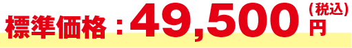 価格49,500円～（税込）